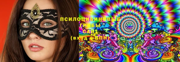 молекула духа Белокуриха