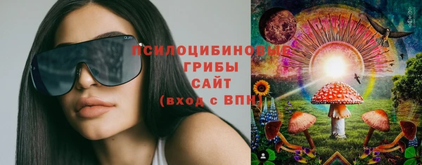 молекула духа Белокуриха