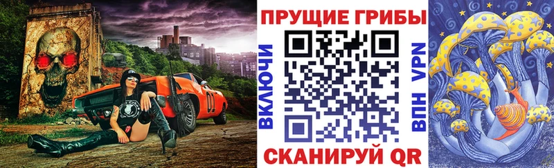 Псилоцибиновые грибы GOLDEN TEACHER  Губкинский 