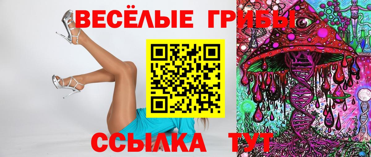 Псилоцибиновые грибы Cubensis  Вход с VPN  Губкинский 