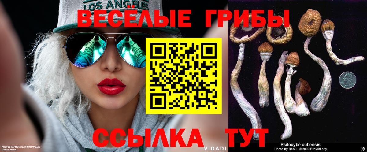Псилоцибиновые грибы Psilocybe Губкинский